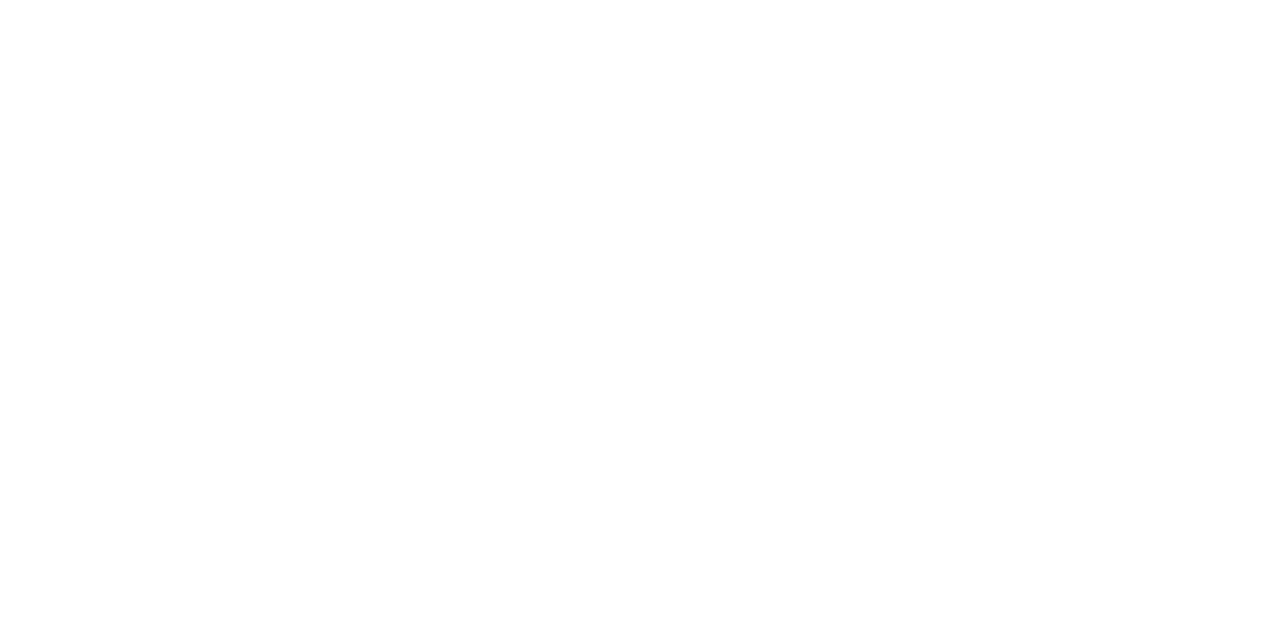 Stata Capital
